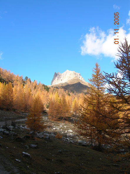 Scorci d''autunno